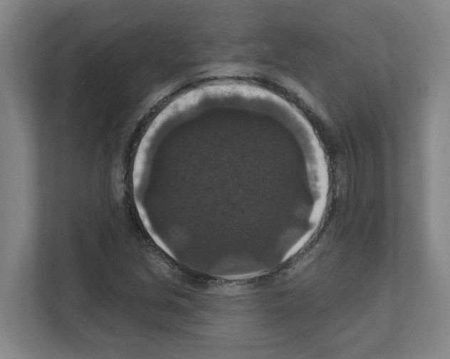 X0000111161213200908111147