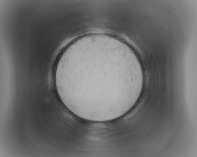 X0000111161215200908111147
