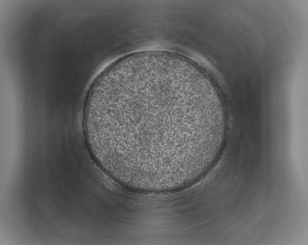 X0000111161216200908111147