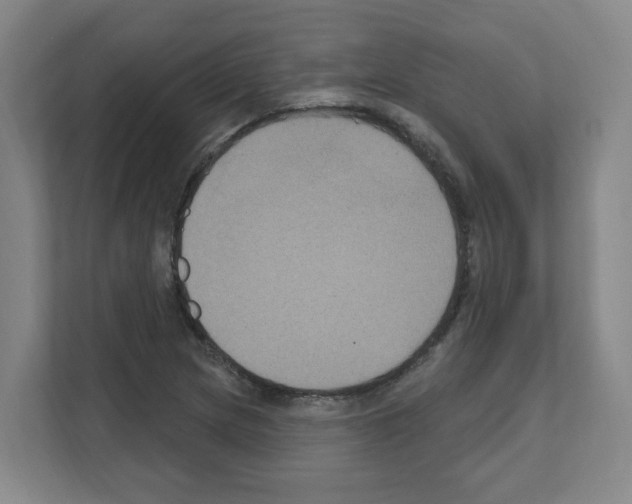 X0000111161217200908111147