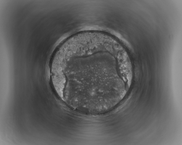 X0000111161221200908111147