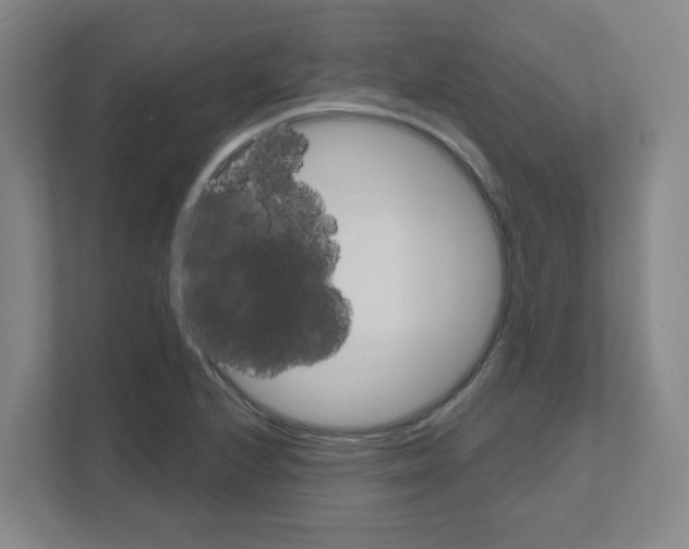 X0000111161224200908111147