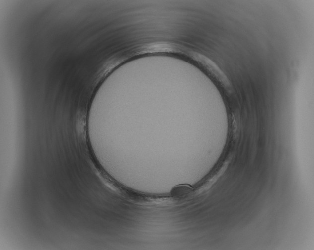 X0000111161225200908111147