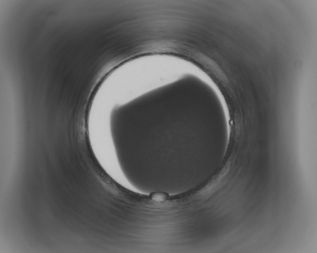 X0000111161226200908111147