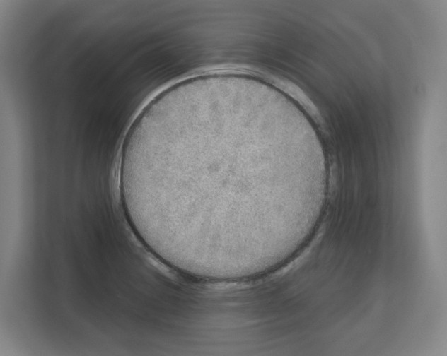 X0000111161228200908111147
