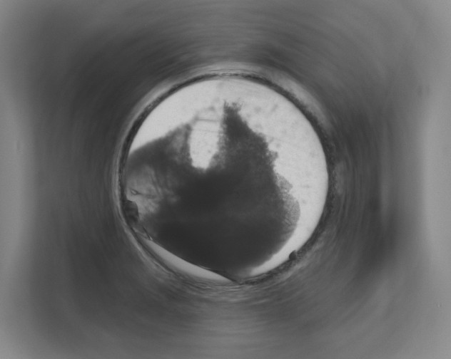 X0000111161229200908111147