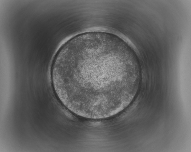 X0000111161230200908111147