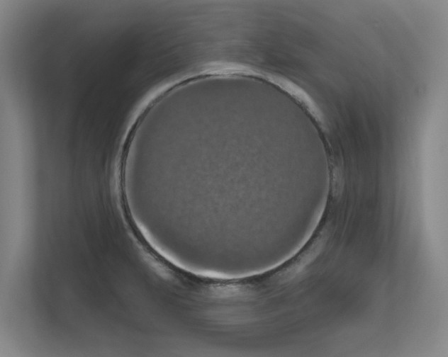 X0000111161231200908111147