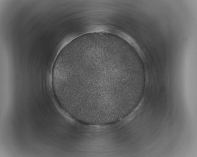 X0000111161234200908111147