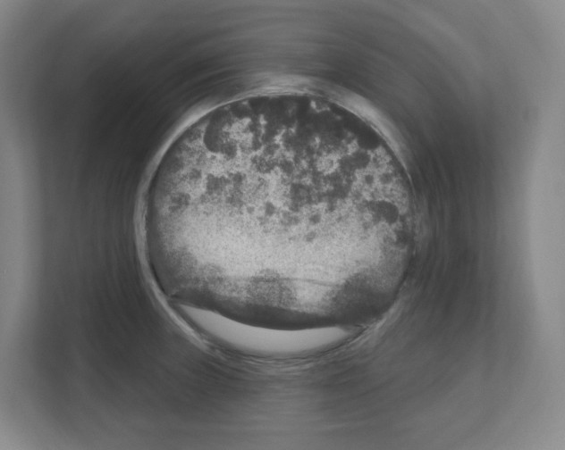 X0000111161235200908111147