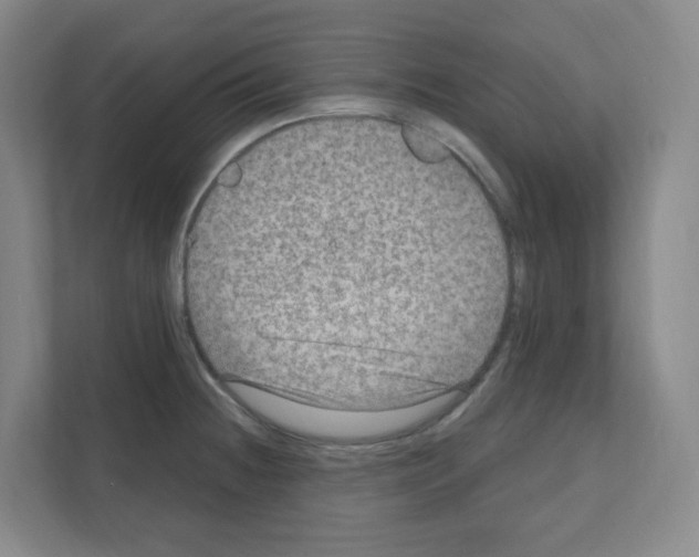 X0000111161236200908111147