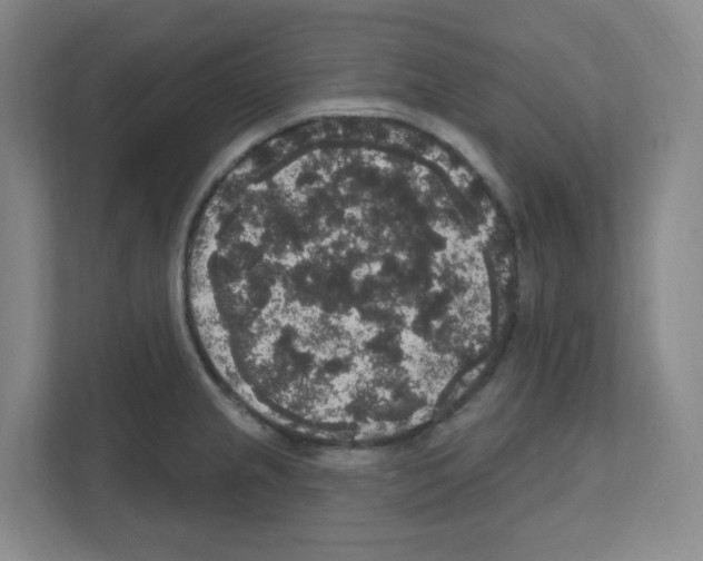 X0000111161237200908111147