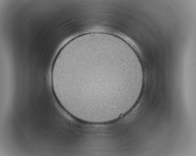 X0000111161238200908111147