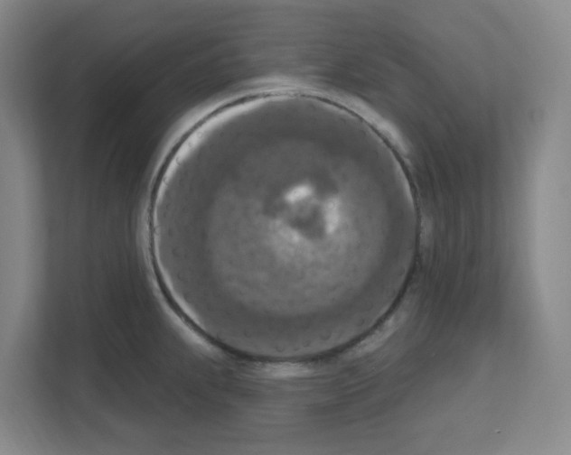 X0000111161239200908111147