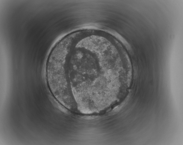X0000111161240200908111147