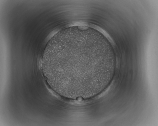 X0000111161241200908111147