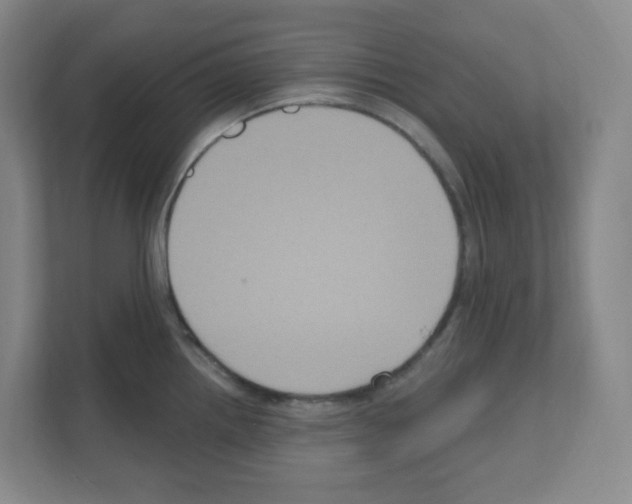 X0000111161242200908111147
