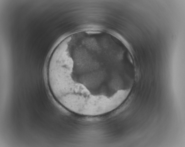 X0000111161243200908111147