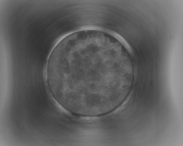 X0000111161244200908111147