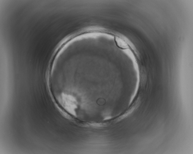 X0000111161245200908111147