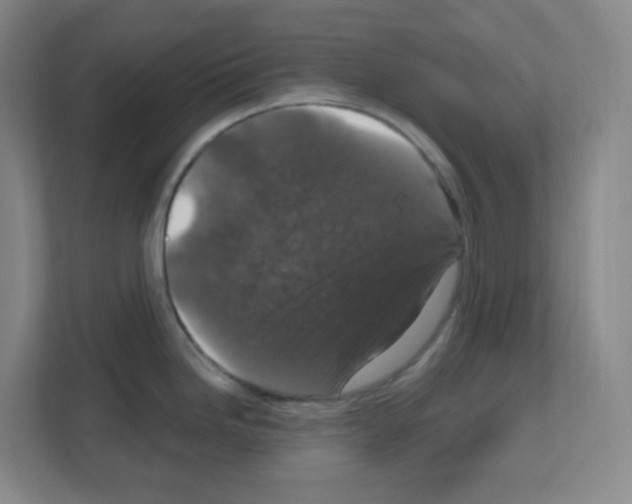 X0000111161246200908111147