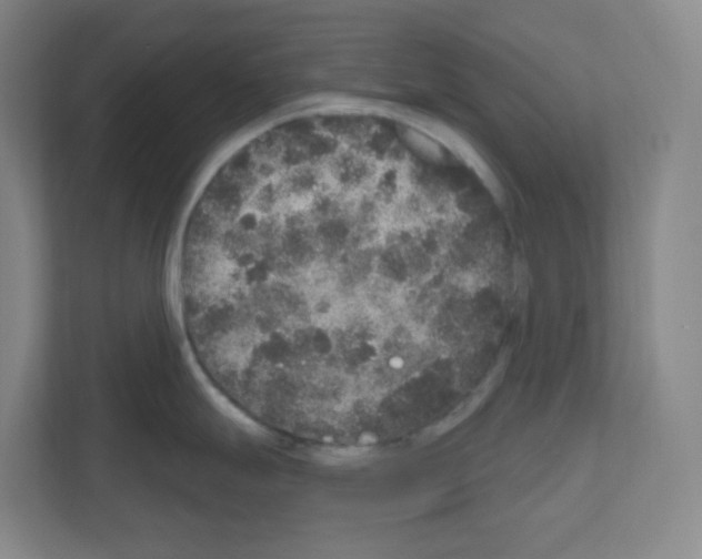 X0000111161247200908111147