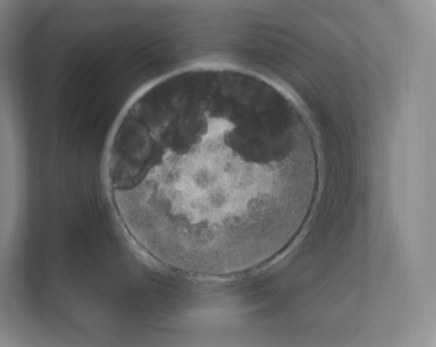 X0000111161248200908111147