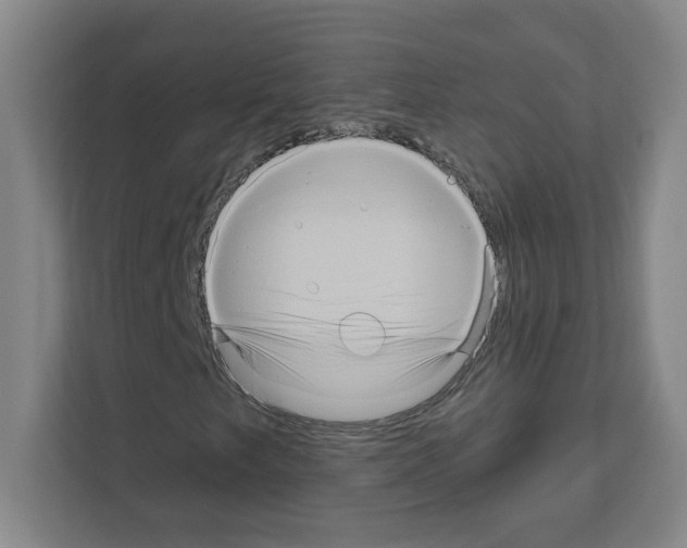 X0000111161249200908111147