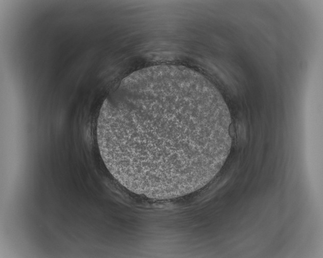 X0000111161250200908111147