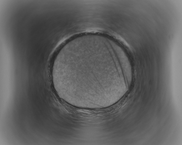 X0000111161256200908111147