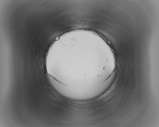 X0000111161257200908111147