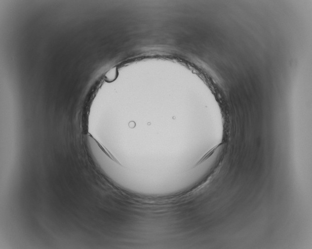 X0000111161261200908111147