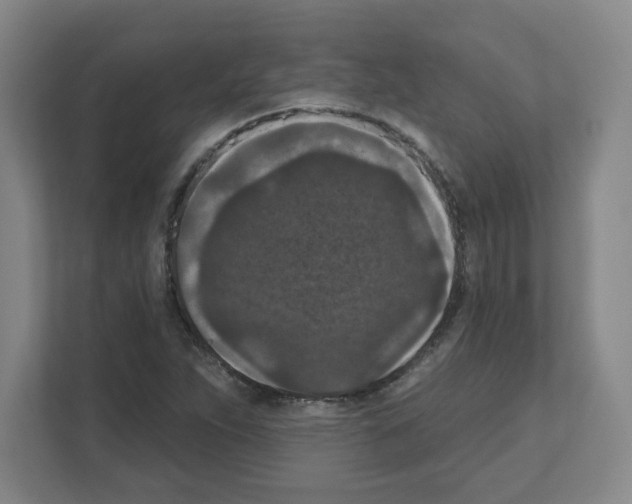 X0000111161263200908111147