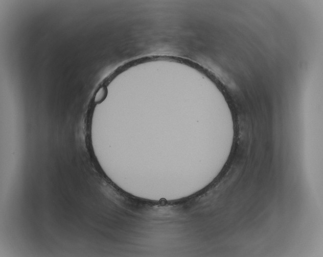 X0000111161264200908111147