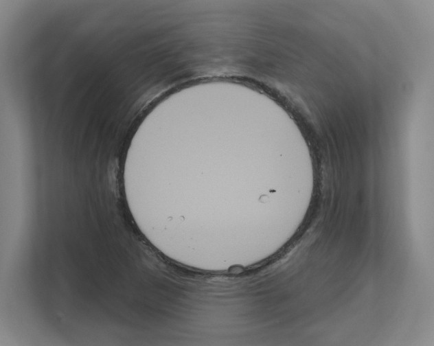 X0000111161265200908111147