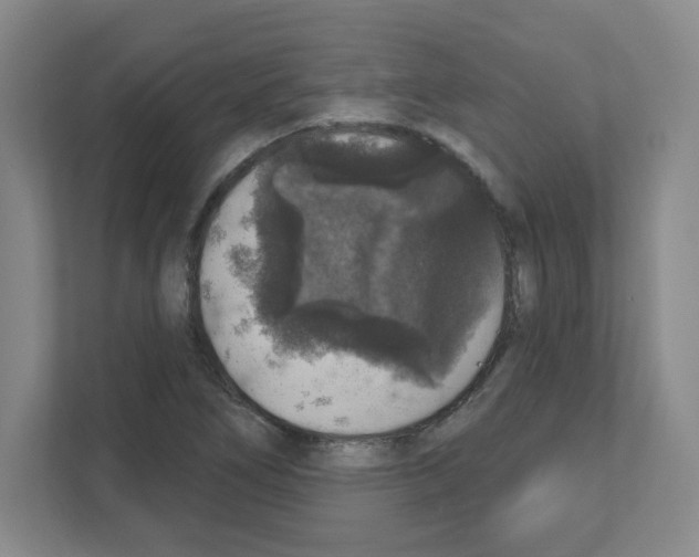 X0000111161266200908111147