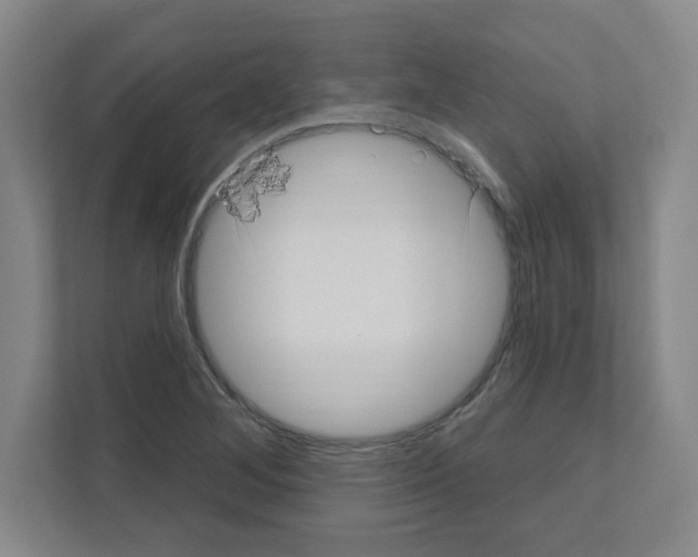 X0000111161268200908111147