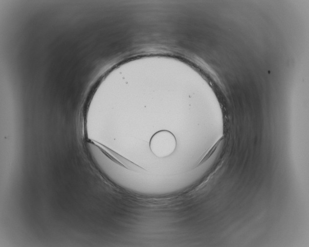 X0000111161269200908111147