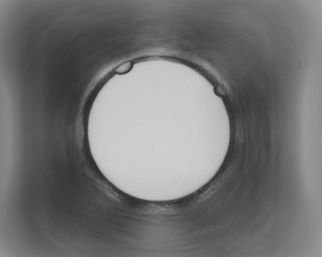 X0000111161270200908111147