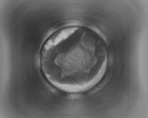 X0000111161274200908111146