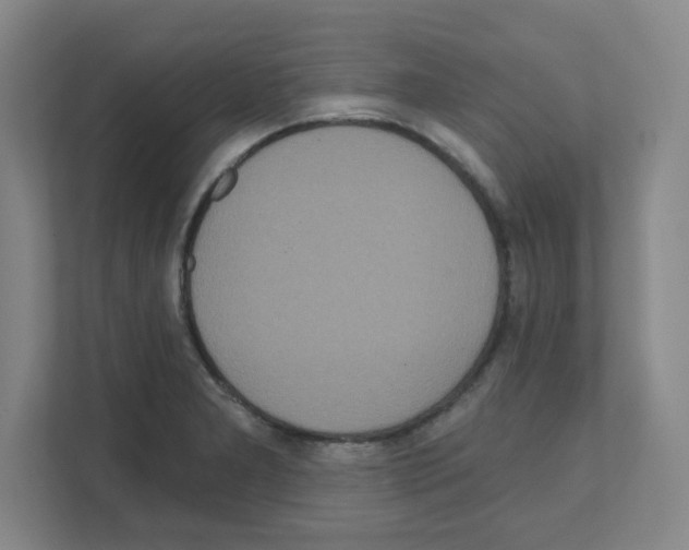 X0000111161277200908111146