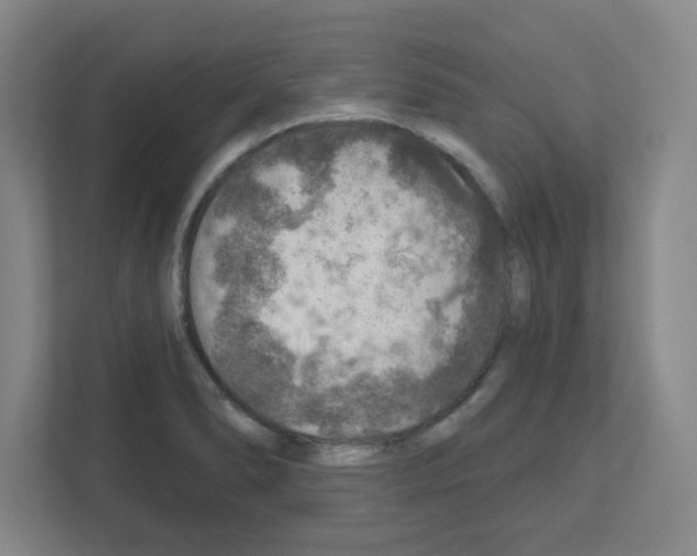 X0000111161278200908111146