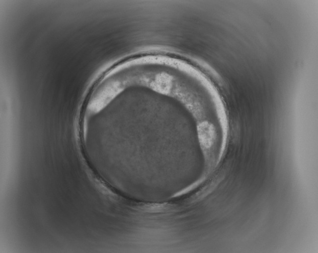 X0000111161279200908111146