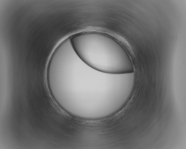 X0000111161280200908111146