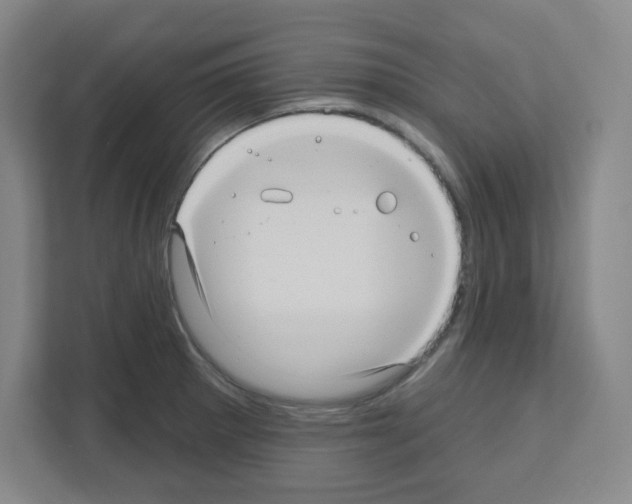 X0000111161281200908111146
