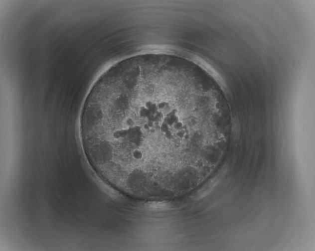 X0000111161283200908111146