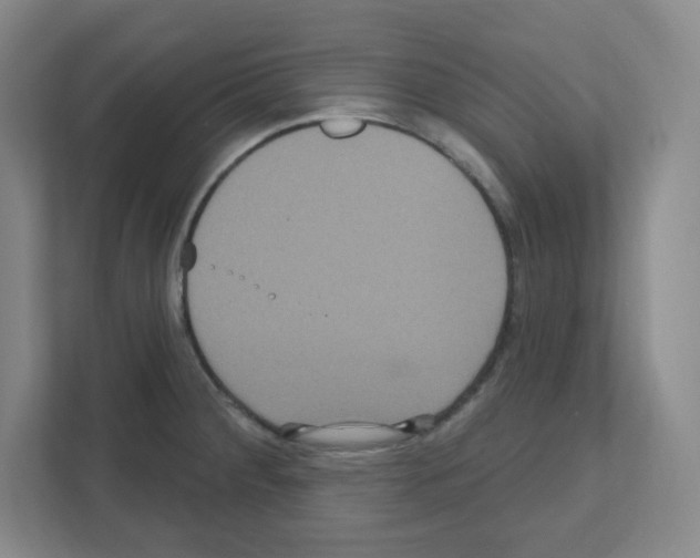 X0000111161284200908111146