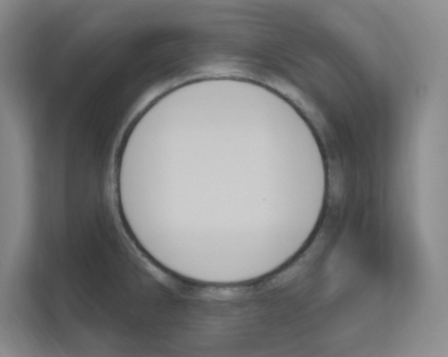 X0000111161286200908111146