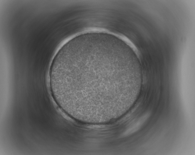 X0000111161287200908111146