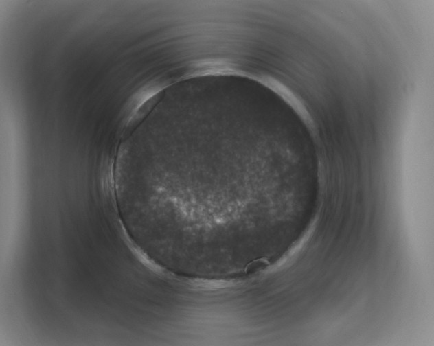 X0000111161289200908111146